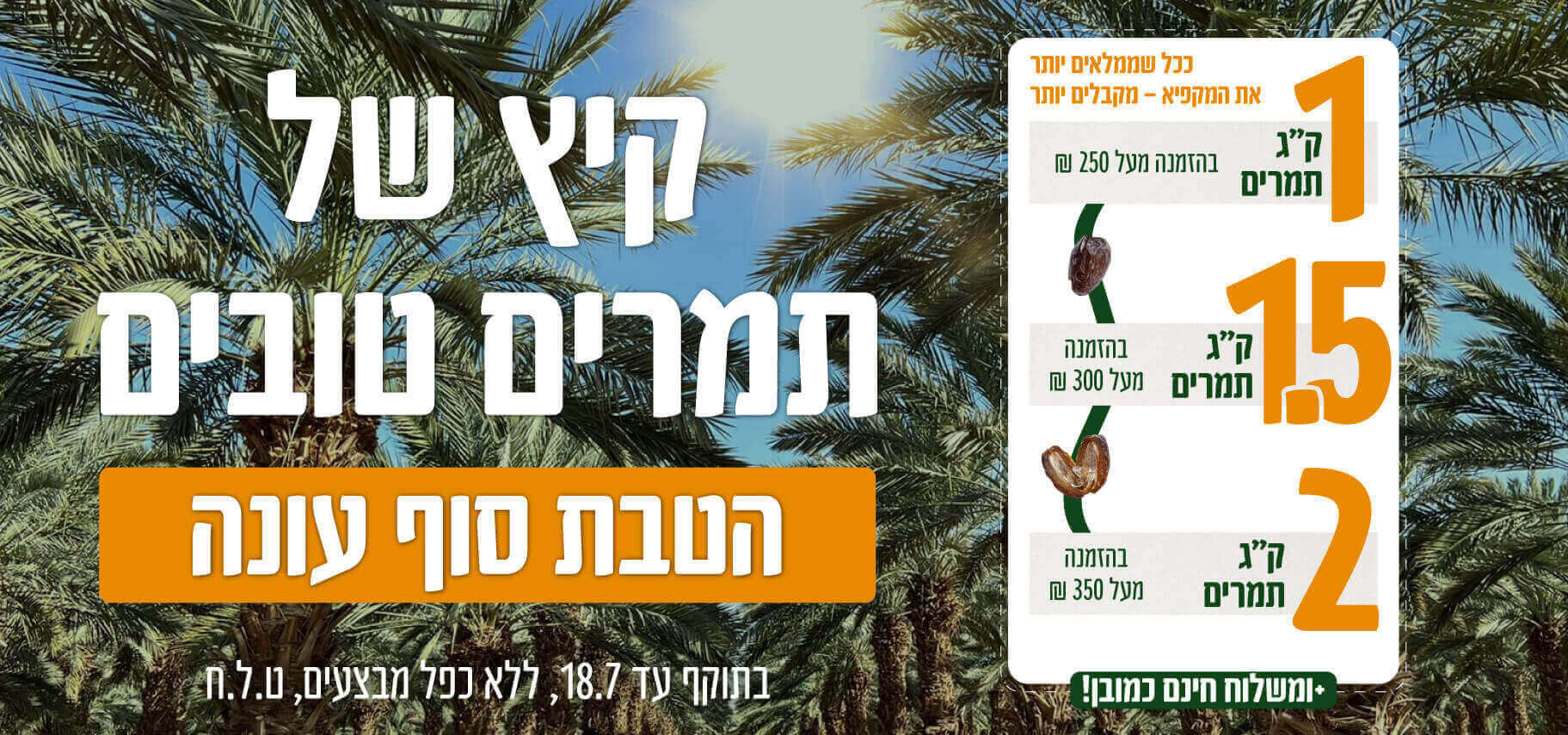 דף חדש